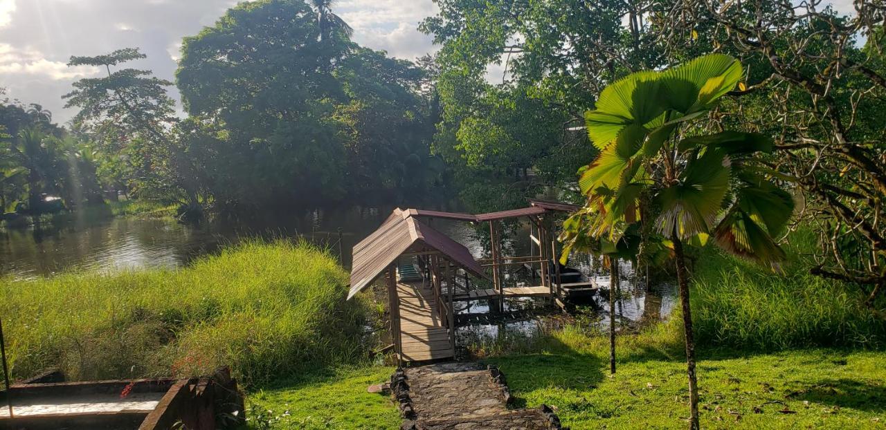 Hotel Veragua River House Sierpe Екстериор снимка